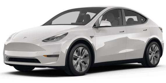 TESLA MODEL Y 2024 7SAYGAEE2RF178955 image